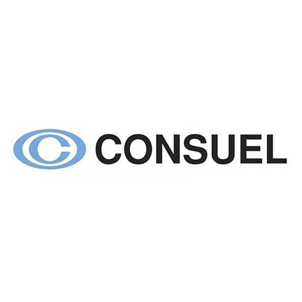 Logo consuel
