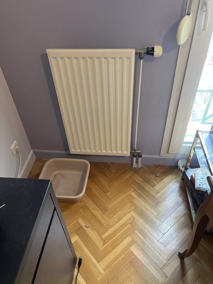 75EACD38 6922 4A57 9677 1E5637AB44E4