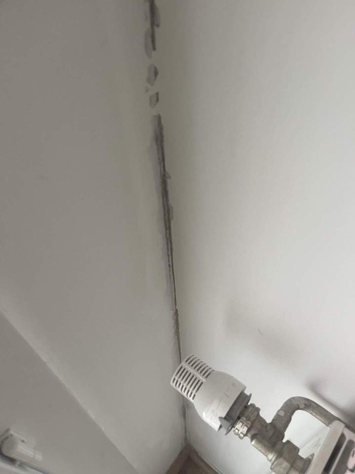 51FEB435 F912 4642 9665 A65B97B00928